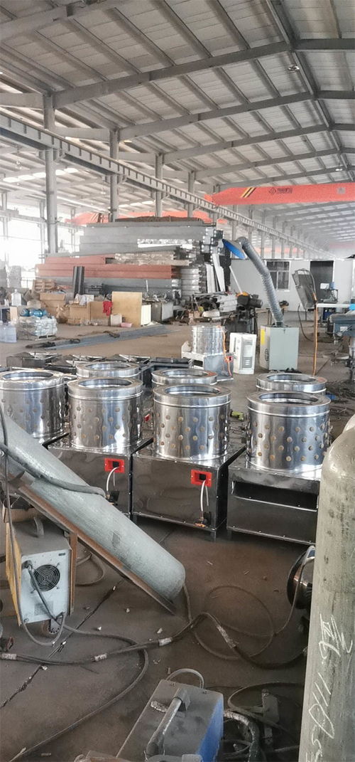 大型商用全自動脫毛機產(chǎn)品介紹與潤滑設備咨詢指南